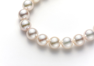 真珠ネックレスは大人女性のたしなみ。冠婚葬祭の必須アイテム